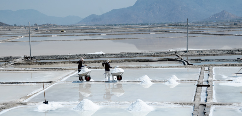 《供應鏈戰爭》：歷史上的鹽與權力