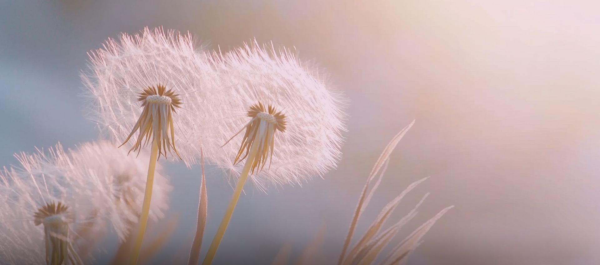 剛剛好的療癒：郭源元筆下的溫柔告白，寫給正在努力的妳