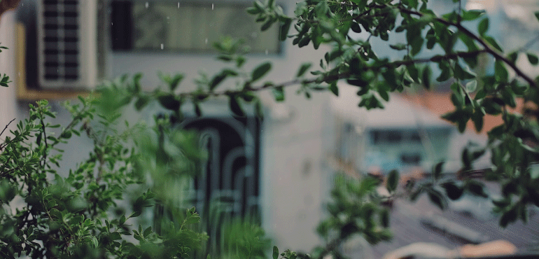 《我所受的傷》——為摯愛而傷，即使長成了結痂，也無礙觀瞻