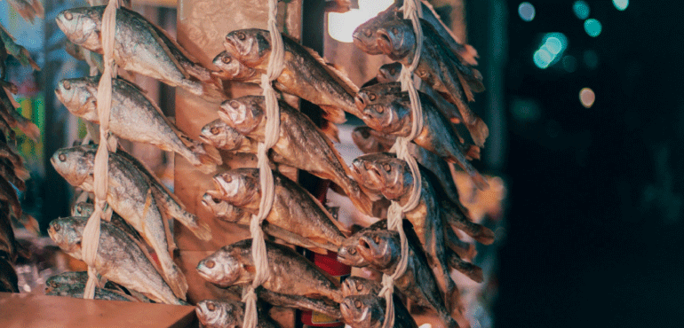 魚類海鮮老饕的養成必備法寶──《韓式海鮮料理圖解聖經》