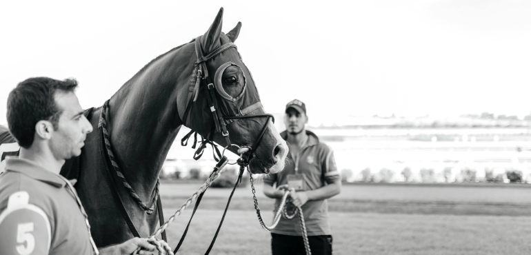 從西洋到東洋:上海灘的英式賽馬