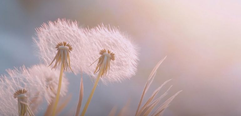 剛剛好的療癒：郭源元筆下的溫柔告白，寫給正在努力的妳